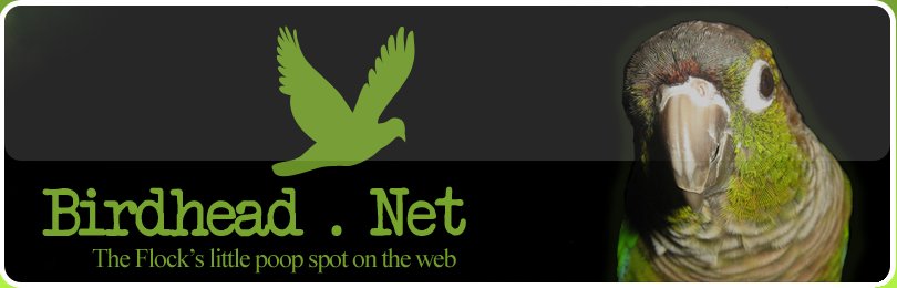 BirdHead Dot Net